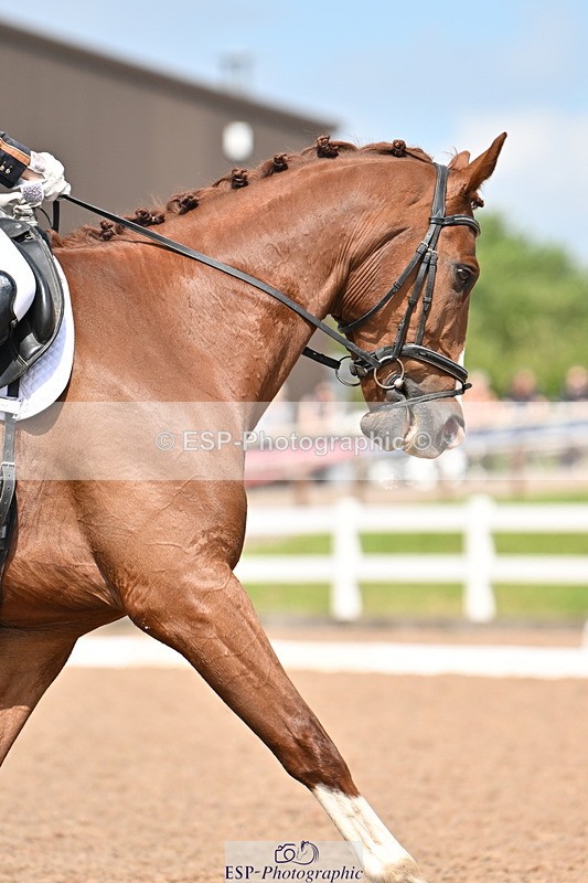 240621A-143802-03969 - Cls 11 BD Medium 73