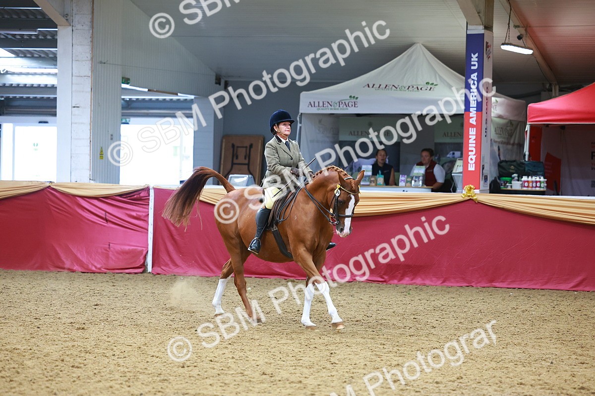 SBM_06085 - Class 12R - Ridden Pre-Vet