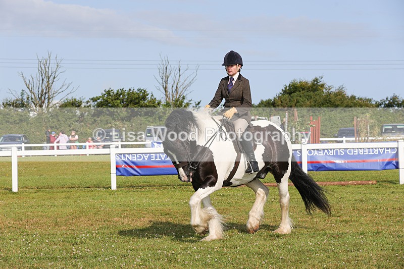 1X9A3153 - Class 27:  Ridden Native/Trad Coloured Horse