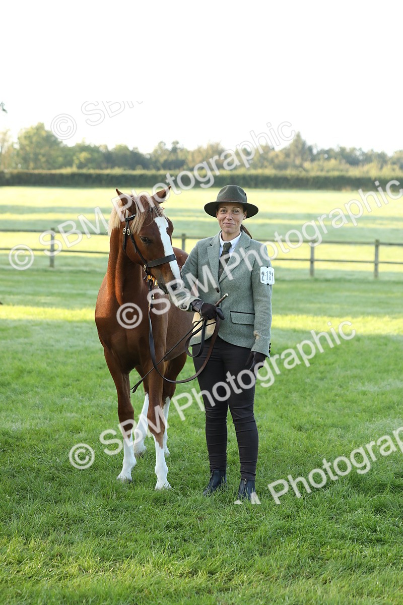 SBM_57878 - S42 - Youngstock