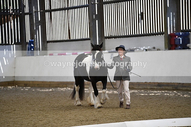 WJ5_5498 - Class 8 In hand cob