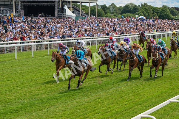 310525-Race 1-Ingleby Archie-8569 - Race 1 1.30pm William Hill Keep Your Raceday Positive Handicap