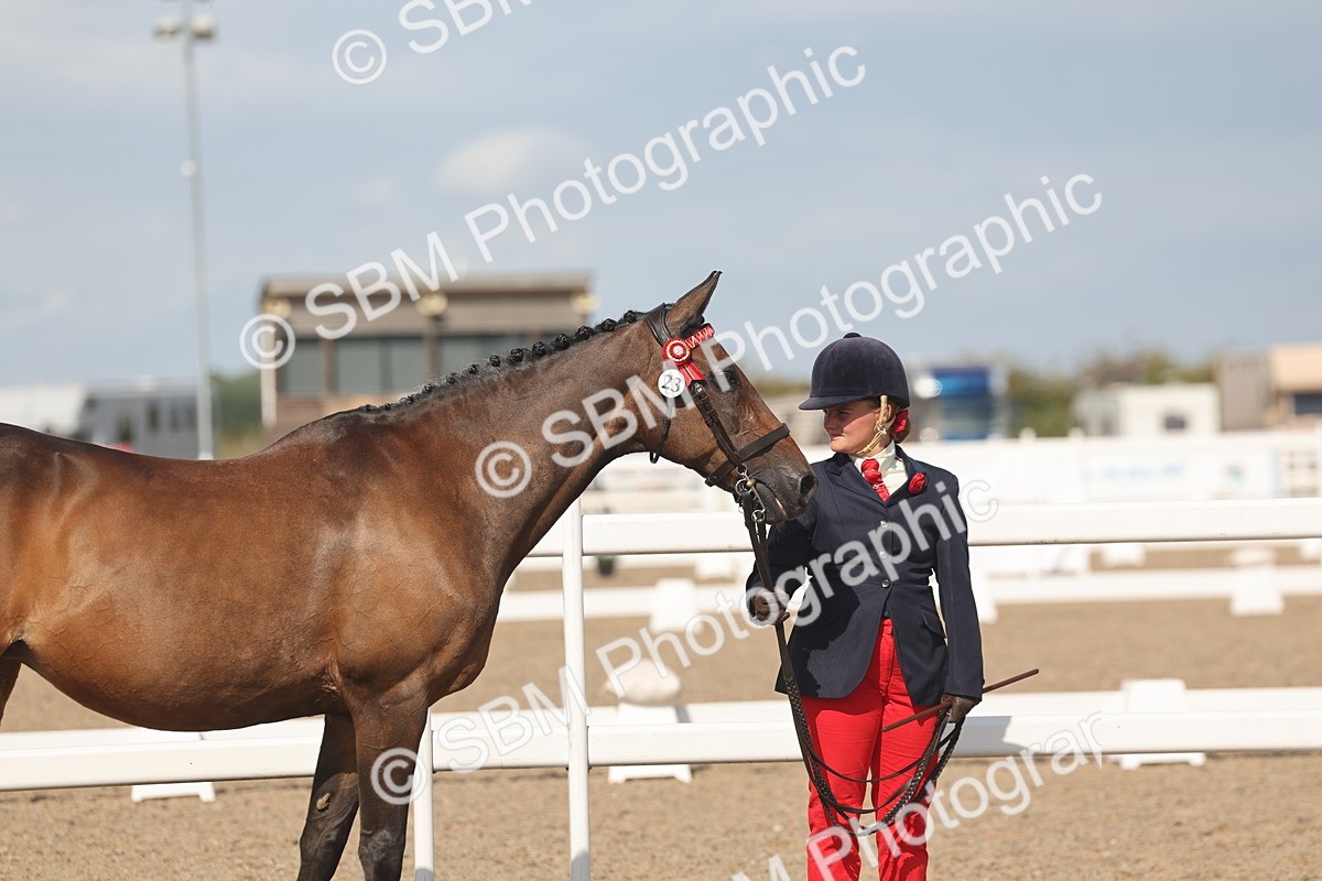 SBM_06833 - Class 25 - IH Foreign Breeds - Purebred