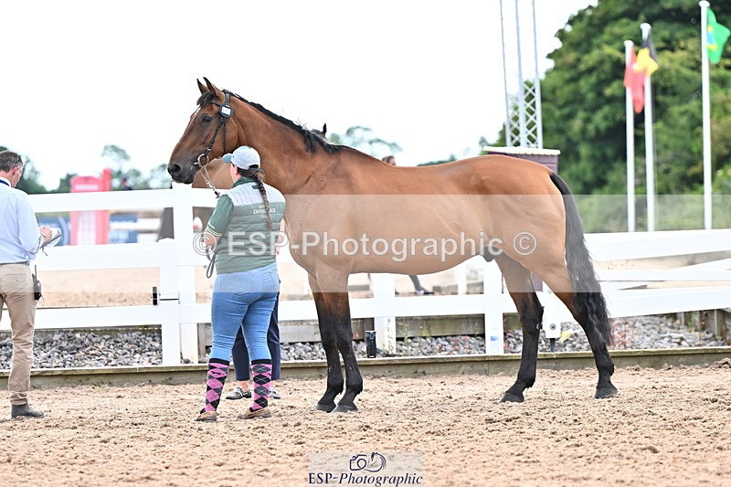 240718A-105326-01996 - Trot Up 2pm to 3pm - This folder is not in time order