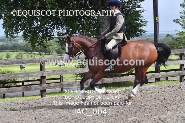 JAC_0041 - CLASS 3 Intermediate Working Hunter (0.70m - 0.85m)
