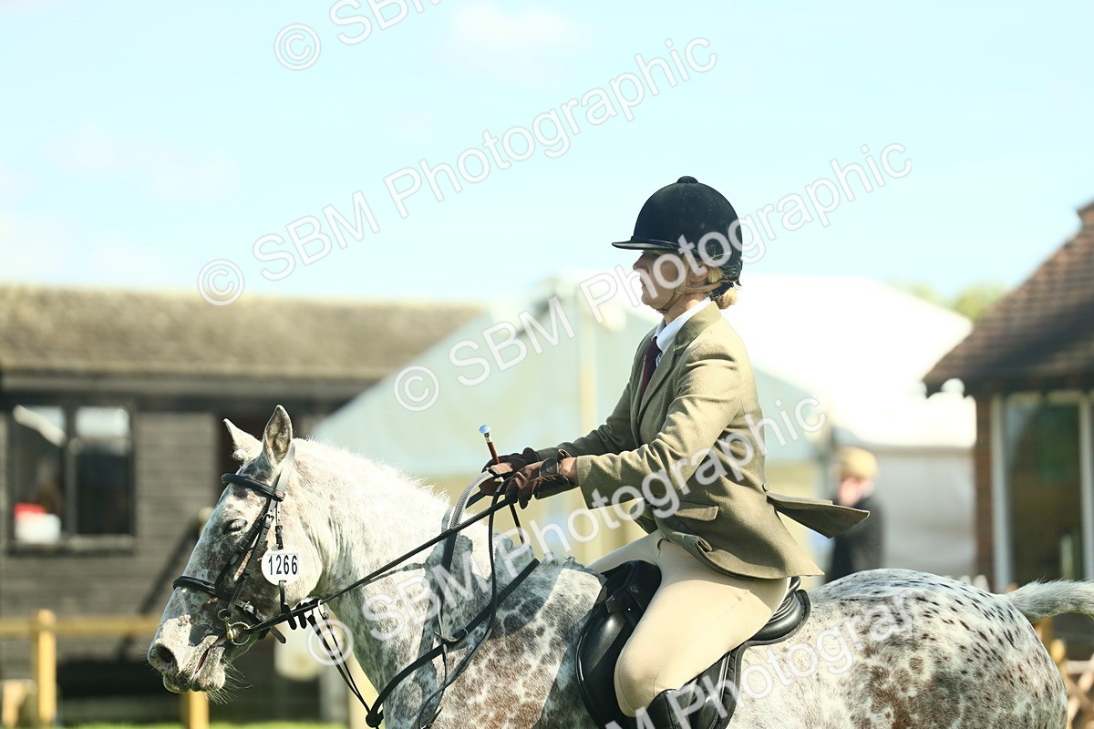 SBM_39258 - S29 - Novice & Newcomers Working Hunter Pony