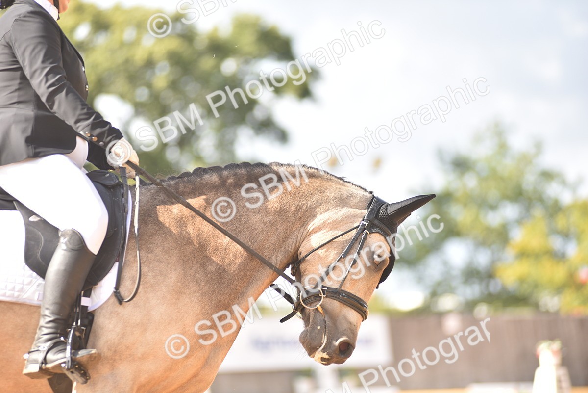 SBM_24290 - D4 - Small Tour Championship Intro 4