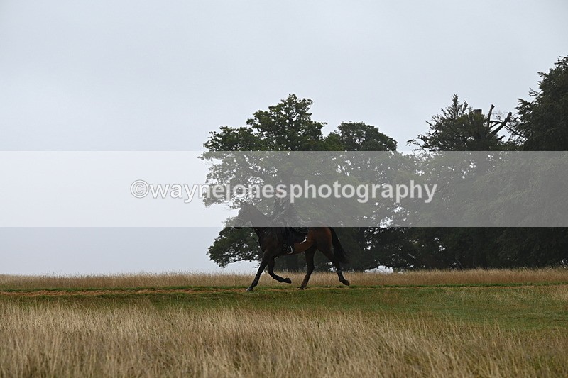 DSC_0930 - Time at Statue 10:58 to 11:53