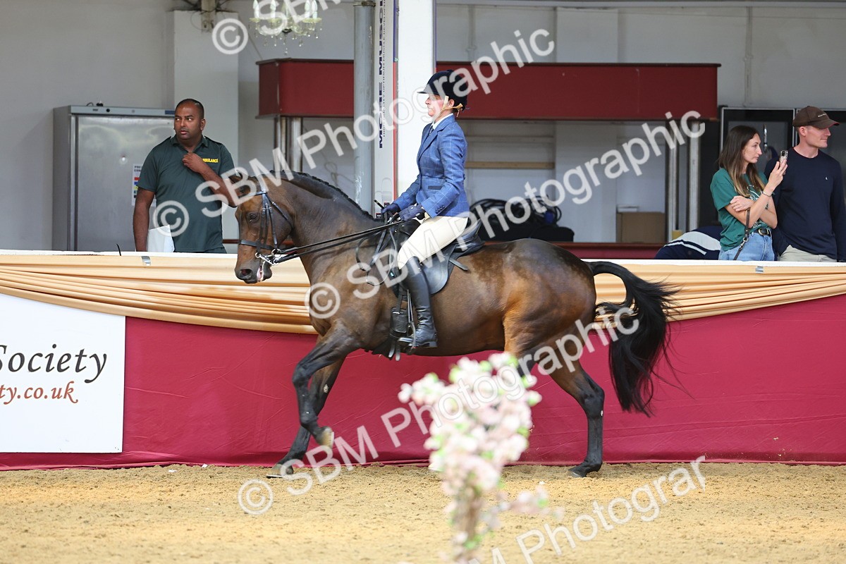 SBM_23561 - Class 904 - Supreme Final Ridden Diamond