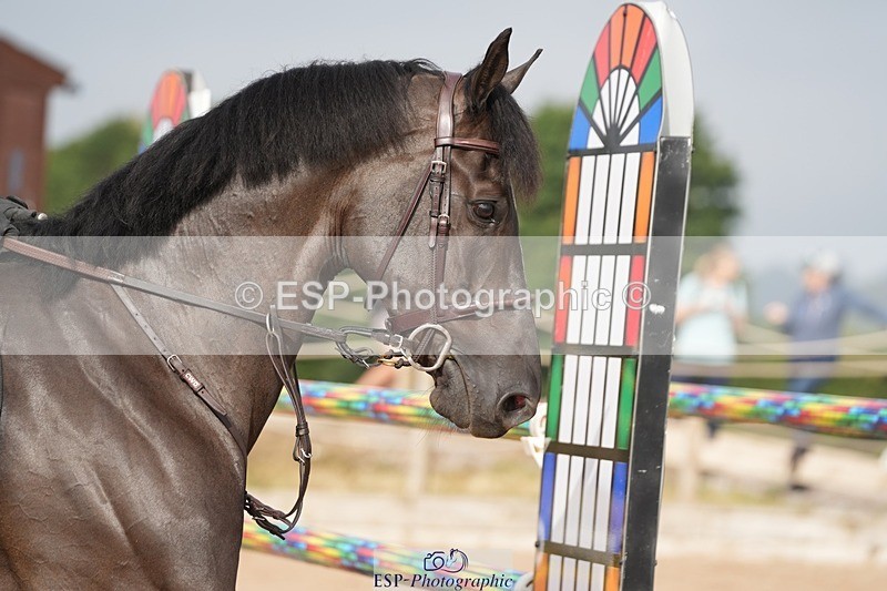 250718-084904-08547 - Cls 18, 1 Star Gold Tour