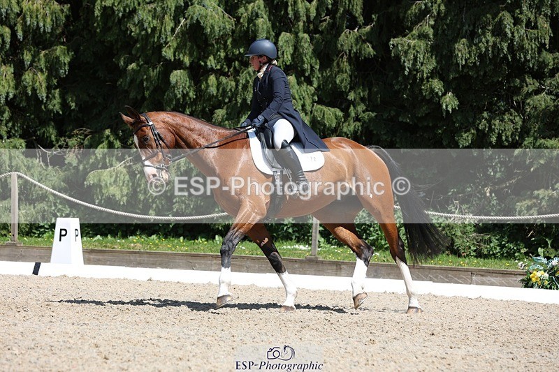 230526-141424-06479 - 372-INDYGO_BLUE-Jess_Butler-WEDTrotUp+DR