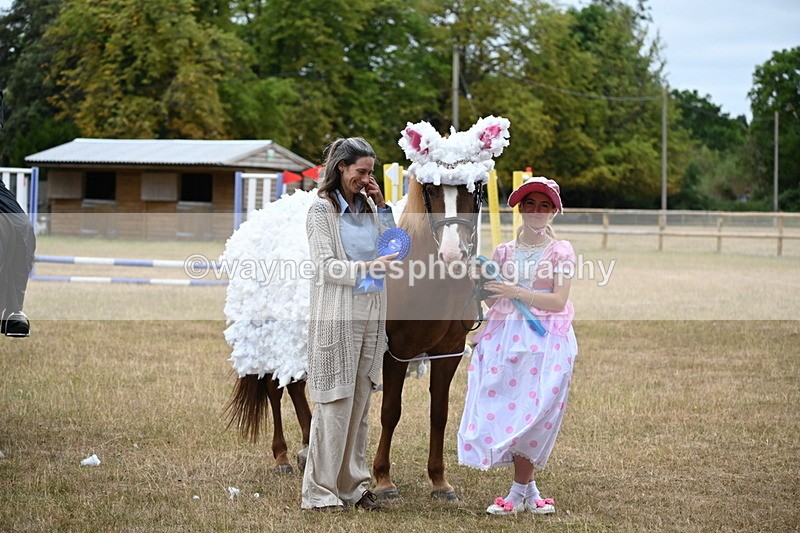 WJ6_9014 - Class 11 Fancy Dress