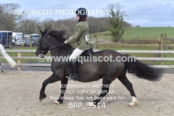 BPP_9514 - RING 2 - M&M