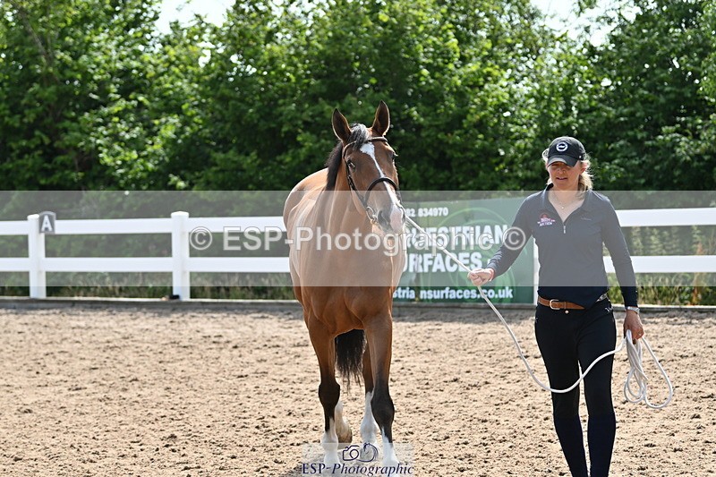 240717A-160254-03291 - Trot Up 4pm to 5pm