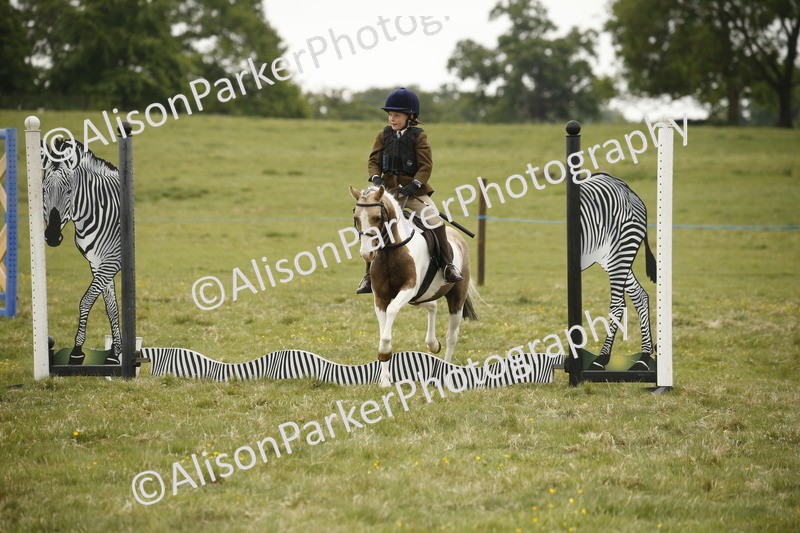 20250517-0811 - Class 2 - 30cm Off Lead Rein