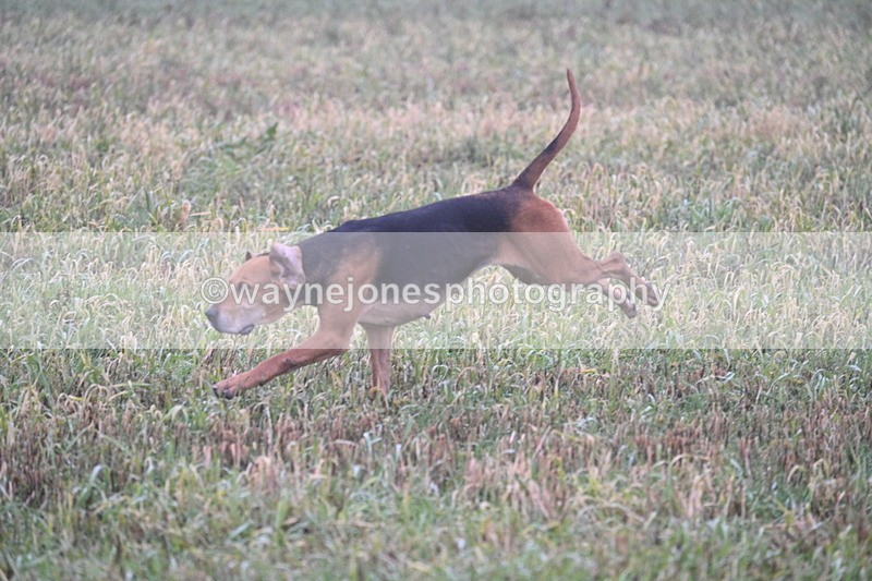 WJ7_3346 - Line 2 A&B