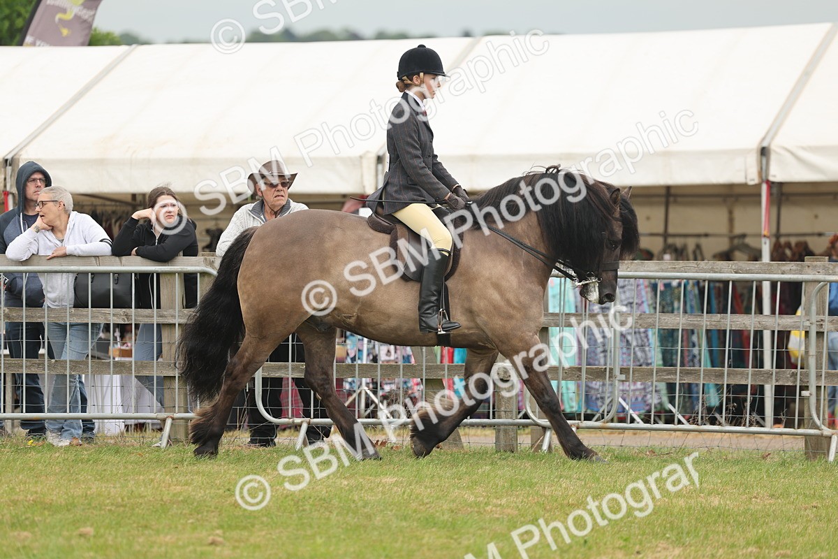 SBM_08936 - Class 78-80 - Ridden M&M Non Welsh Ponies