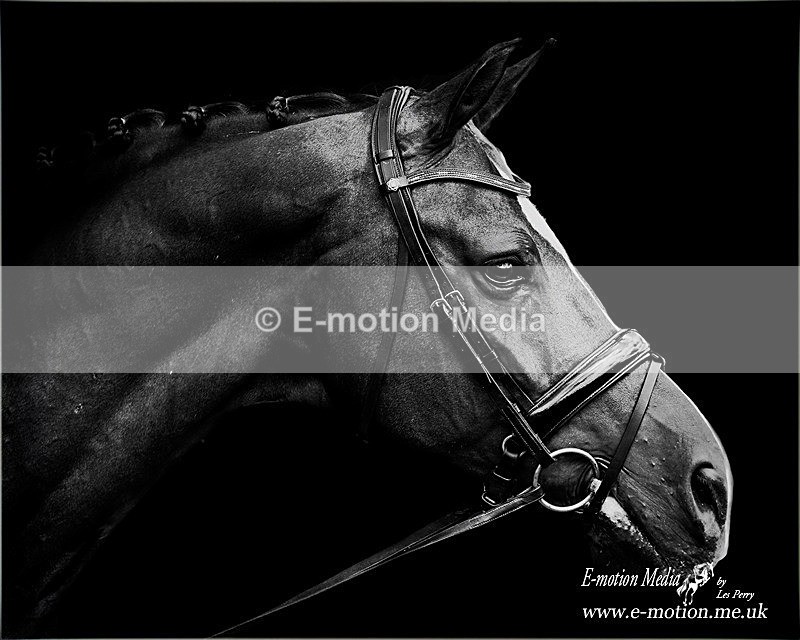 060817 -305bw - B & W photography