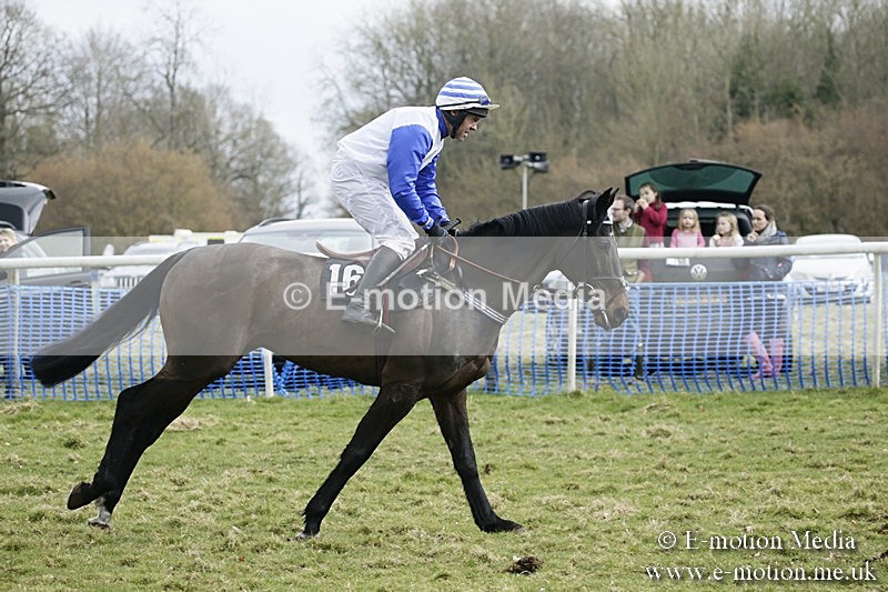 PtP 110318 436 - Hampshire Hunt Point-to-Point Hackwood Park 11/03/18