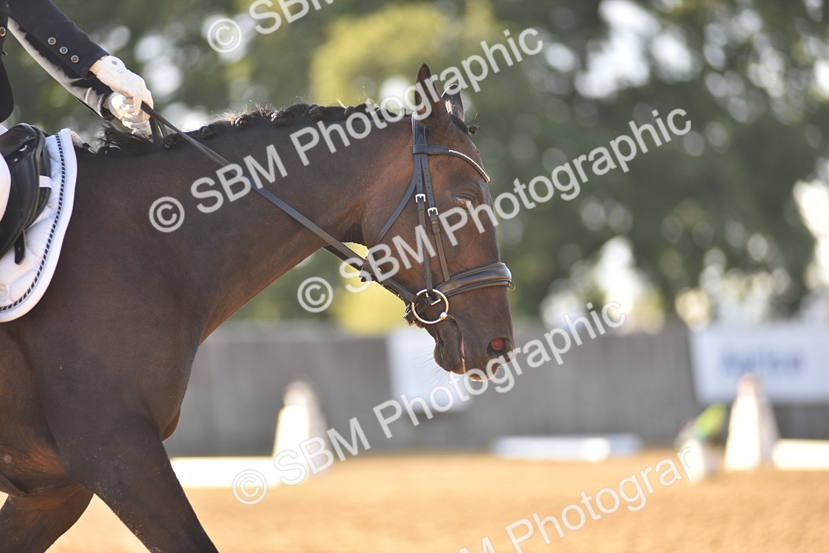 SBM_53442 - D24 - Junior Championship Prelim 3