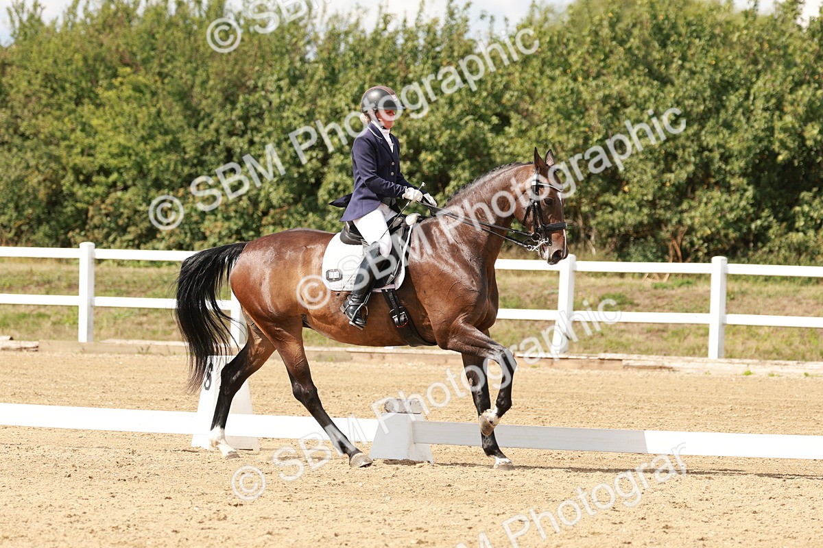 SBM_002429 - Class 11 - Medium 6