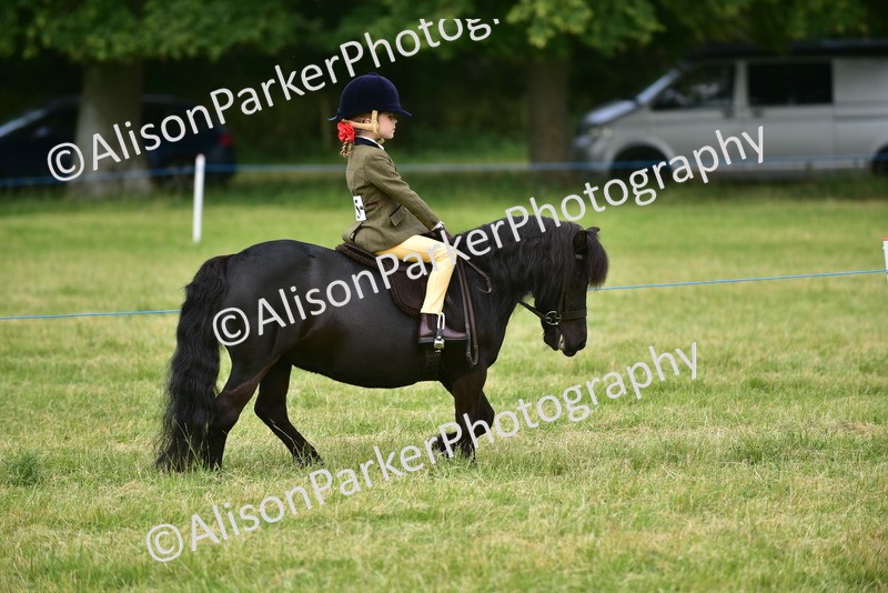 20260614-3623 - Class 15 - Prettiest Mare