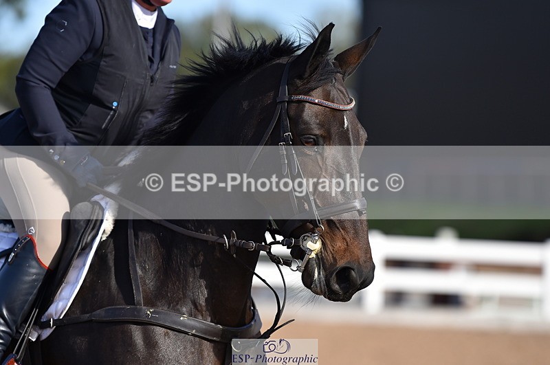 231015A-112008-07417 - Cls 23 Discovery & 1m Open