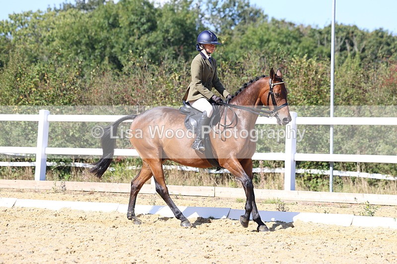 3E7A5712 - Class 10: Riding Horse