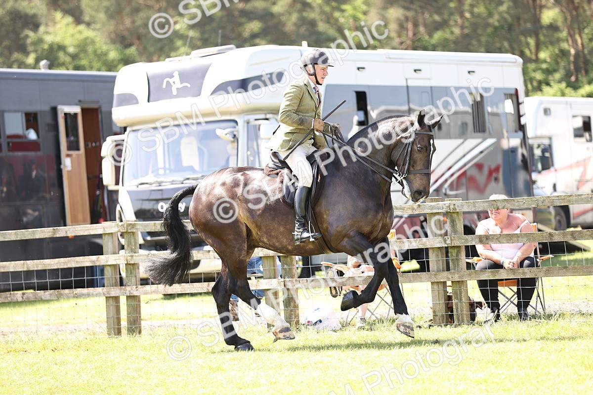 SBM_13845 - Class 77 - LIHS BSHA Rising Star Cobs