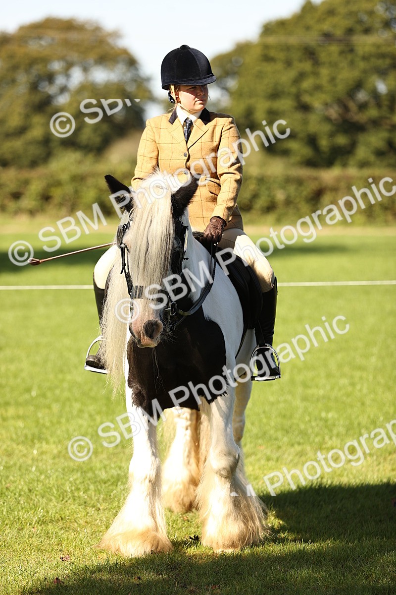 SBM_19117 - S3 - TSR Ridden Pony Showing