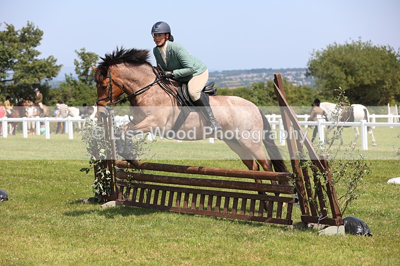 JPP_3146 - Class 22: Working Hunter 70cm