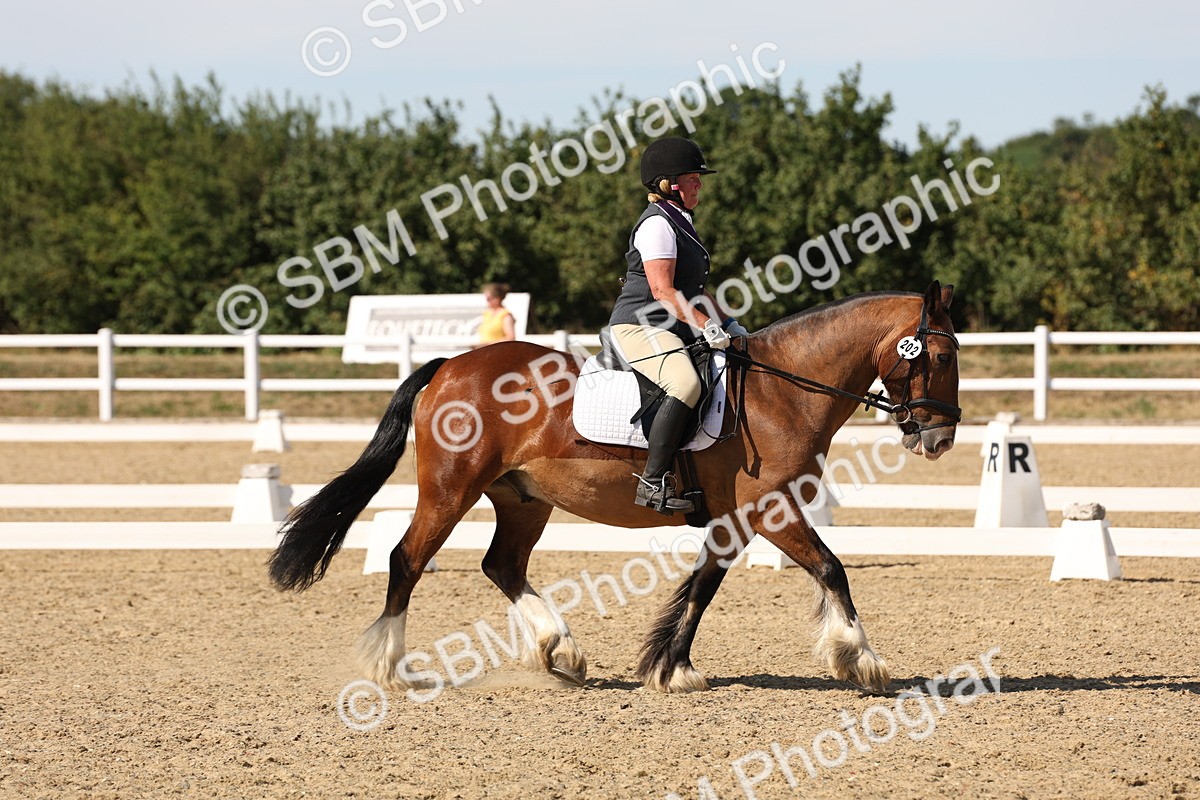 SBM_003804 - Elementary 4