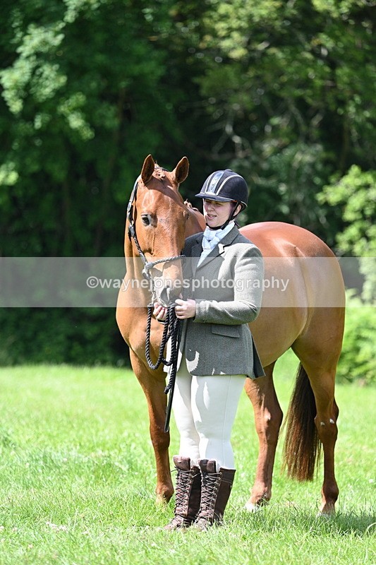 WJ7_1478 - Class 11 Condition & Turnout