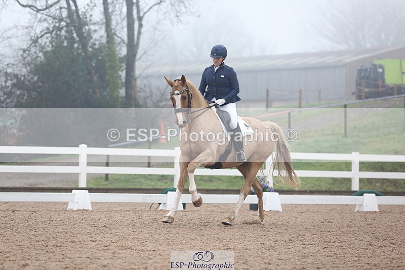 240217A-123524-02916 - 274-Clare.Smith-Dori.Dragon.Fly