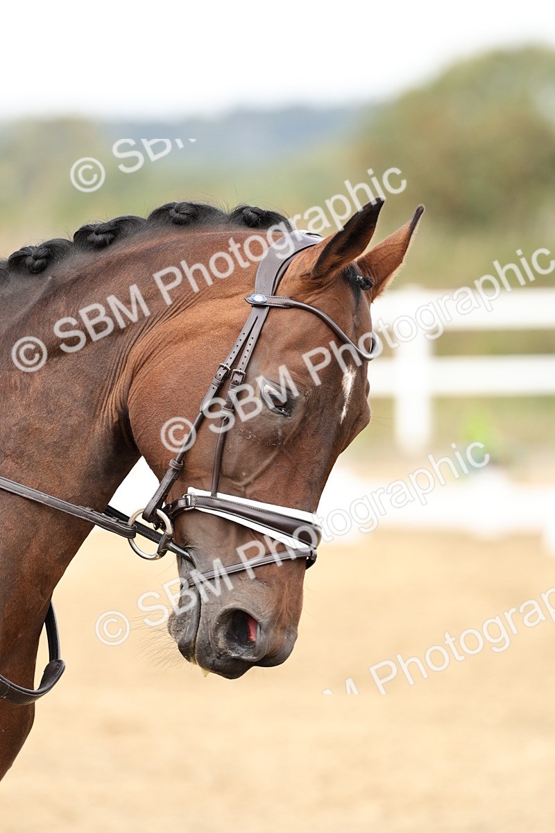 SBM_013093 - Class 3 - Novice 4 - 11.43-12.25