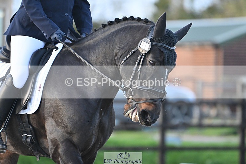 231105-160146-04001 - Cls 4 Novice 24 15.24 to 16.35 break