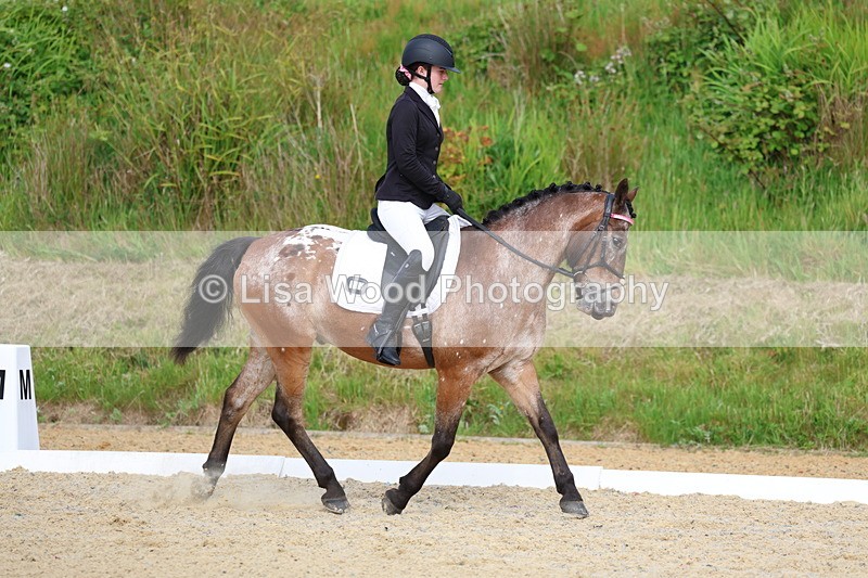 3E7A1431 - Class 2: Intro 2 2024 Section B