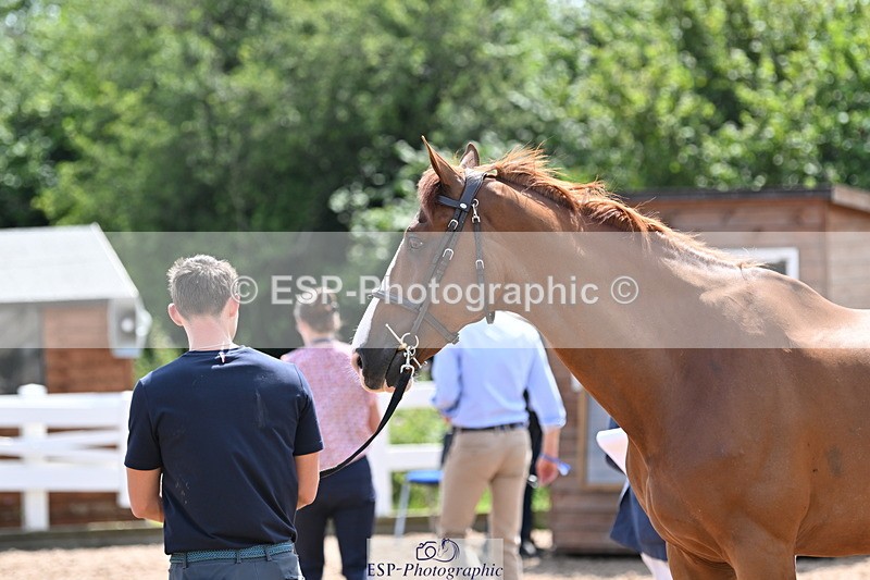 240717A-145809-02385 - Trot Up 2pm to 3pm - This folder is not in time order