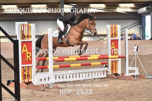 BPP_2508 - CLASS 16 Pony BritiNovice / 0.80m Open