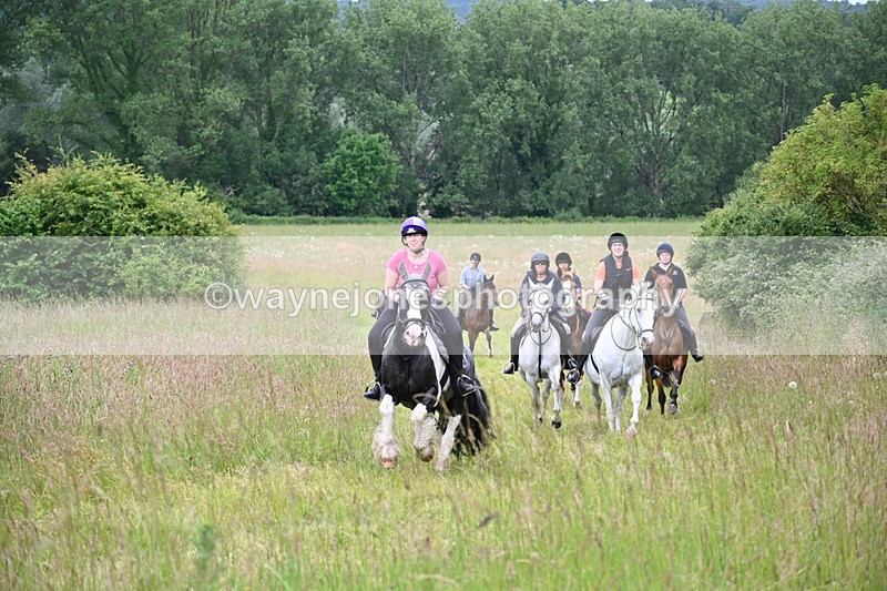WJ6_8390 - Camera 1 Gallops