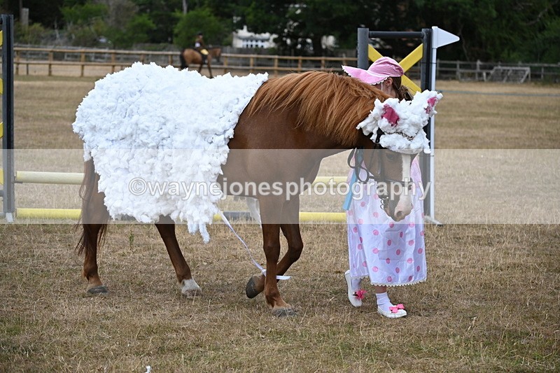 WJ6_8713 - Class 11 Fancy Dress
