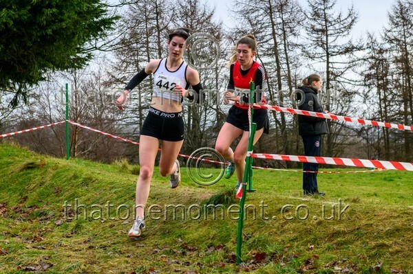 InterXC26-816793 - Senior Women Set One