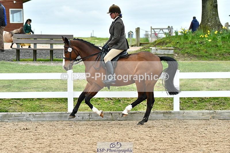 230416A-143111-05252 - Cls 74 Warmblood