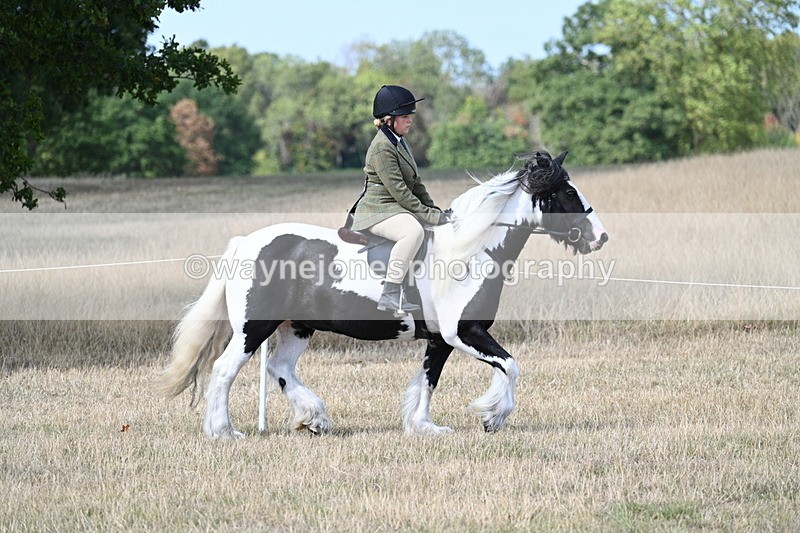 WJ7_7092 - Class 14 Ridden Coloured