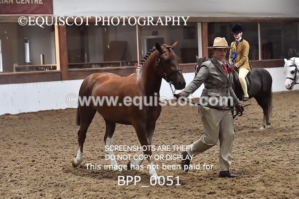 BPP_0051 - RING 1