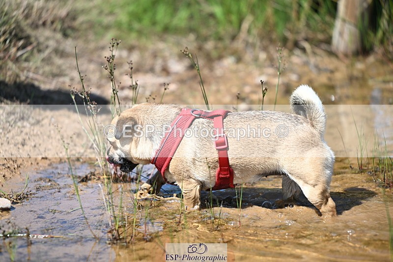 240729B-145756-02893 - Abbie's Group XC