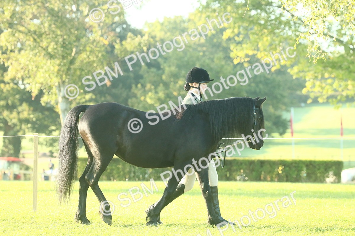 SBM_57306 - S37 - Starters In Hand Showing