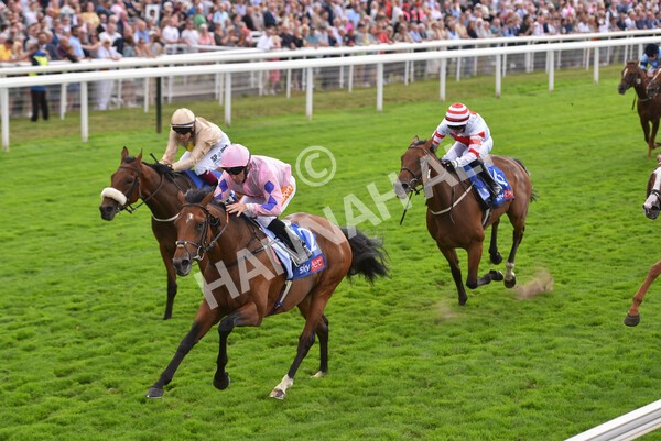 yr19082022r1-34 - Race 1 1.50pm Sky Bet Stakes