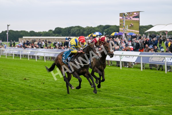 120724-Race 4-Karmology-6148 - Race 4 3.50pm Azets Handicap