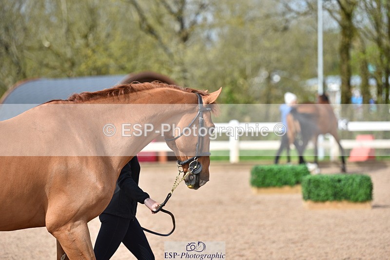 240417A-161048-01137 - 4pm to Finish